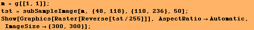 m = g[[1, 1]] ; tst = subSampleImage[m, {48, 118}, {110, 236}, 50] ; Show[Graphics[Raster[Reverse[tst/255]]], AspectRatioAutomatic, ImageSize {300, 300}] ; 