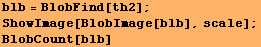 blb = BlobFind[th2] ; ShowImage[BlobImage[blb], scale] ; BlobCount[blb] 